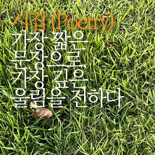 슬라이드 3
